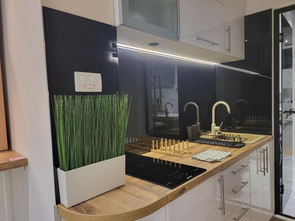 Luxury Central Square Apartment 2214 - 3