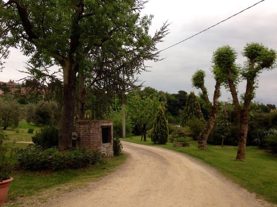 “Il Nespolino” Tuscan Country House - 4