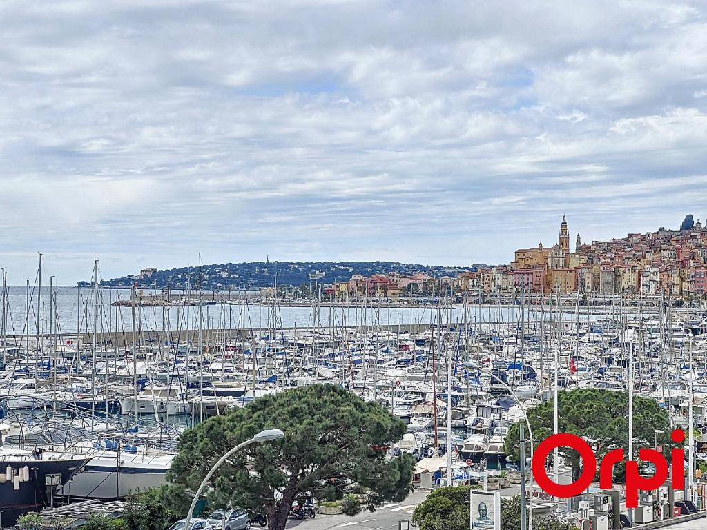 Grand appart climatisé pour 4 avec animaux admis à Menton - FR-1-647-9 - 1