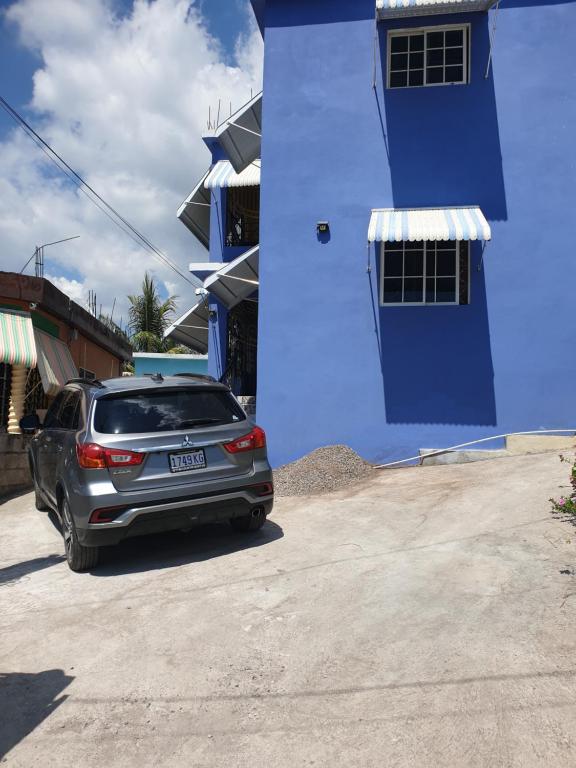 Shelly's, Old Harbour