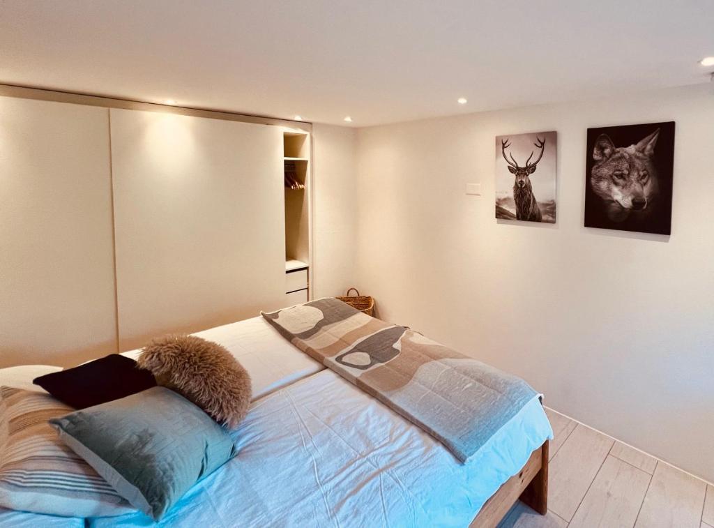 Apartment JOLUKSI - with spa tub - 4