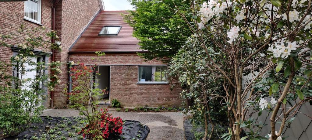 Docs House, Wetteren