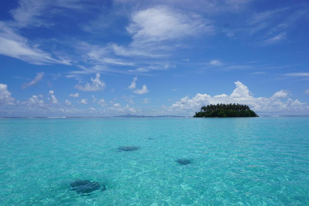 Surrounding environment