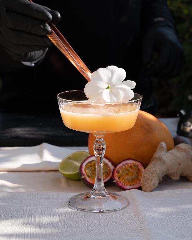 طعام و مشروبات