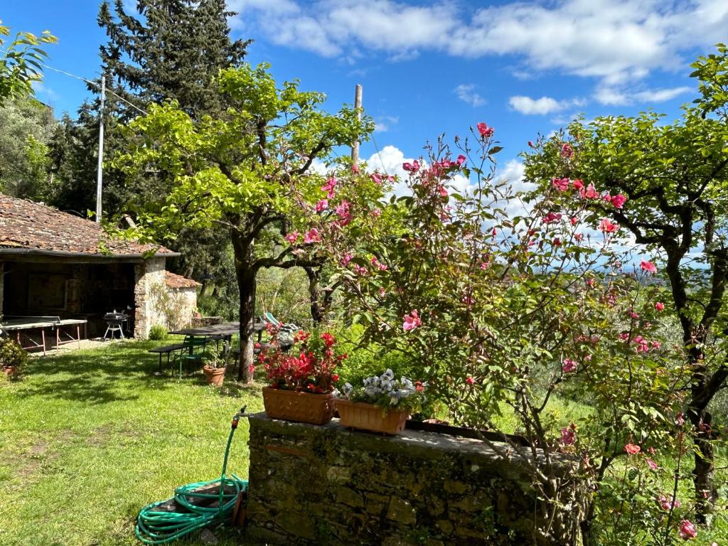 La Casina dei Frati - 2
