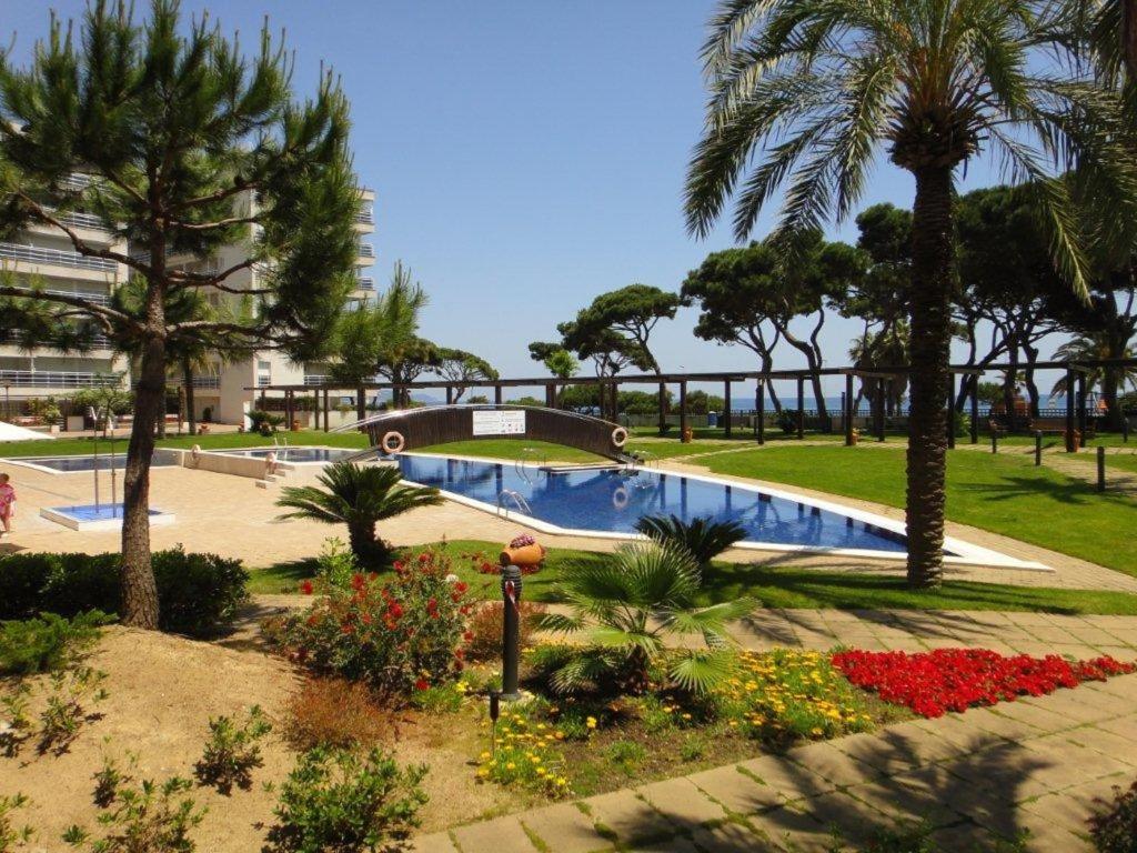 Beachfront Apartment with Pool and Garden S Abanell Blanes - 2
