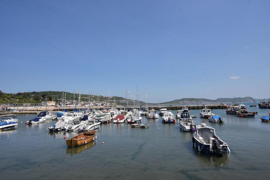 Lyme Views, Lyme Regis photo 8
