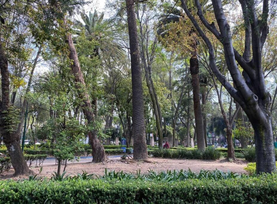 Park Narvarte - 5