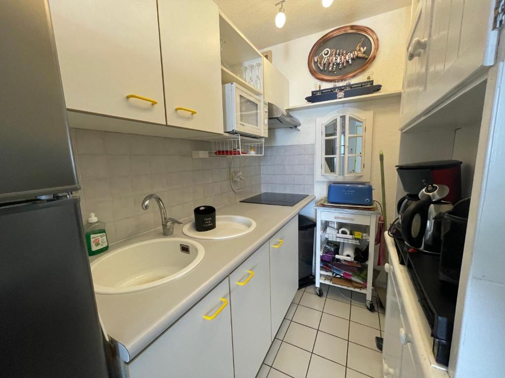Studio cabine à Port Argelès avec loggia et parking privatif - FR-1-309-416 - 2