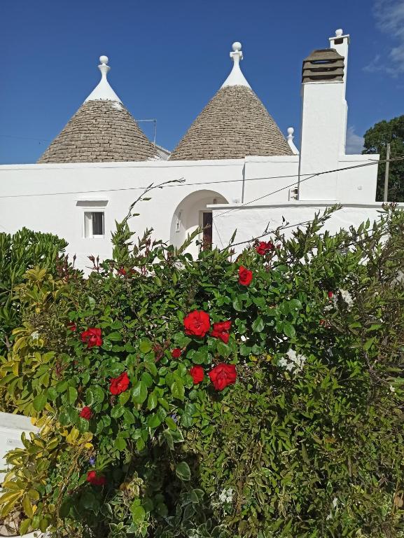 Trullo in piena valle d'itria del 1800 - 1