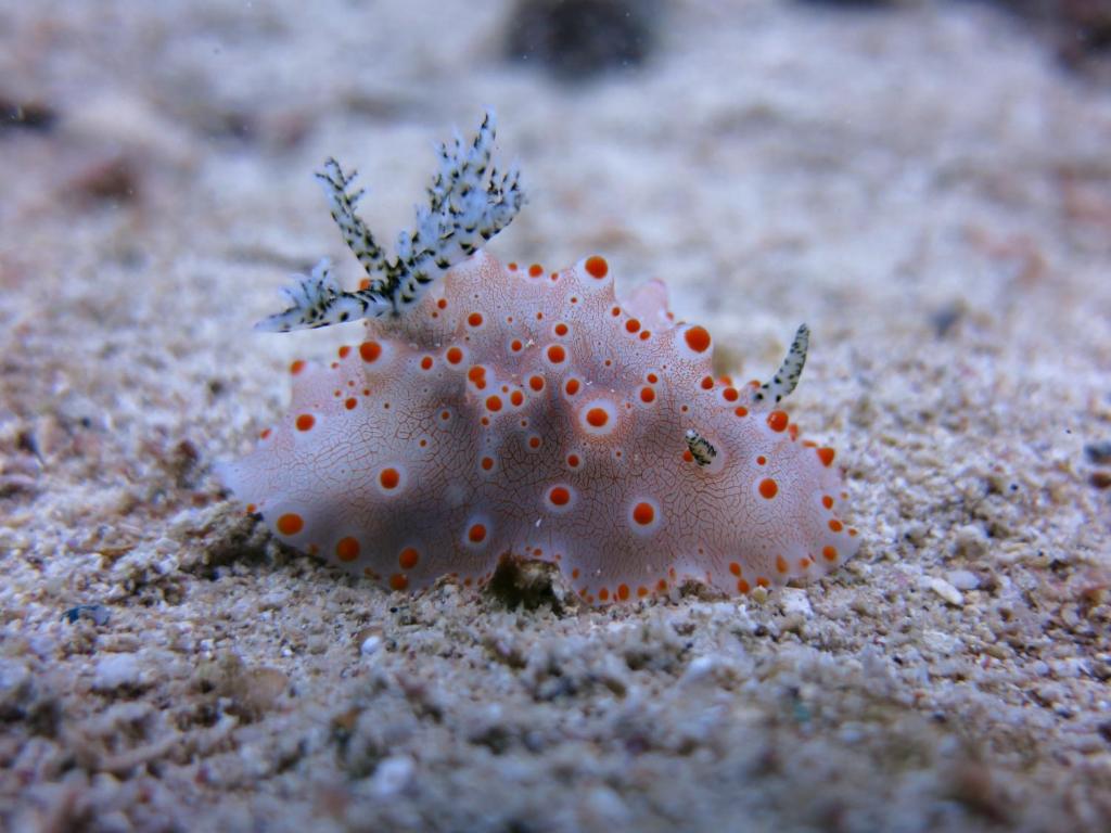 Sports and activities