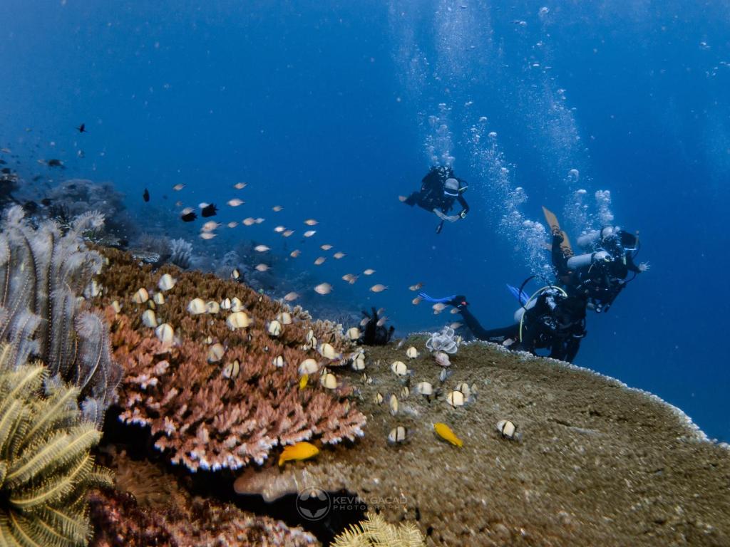 Sports and activities