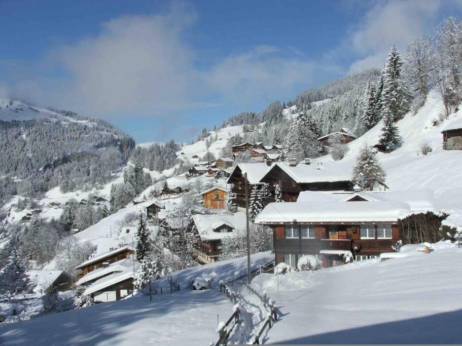 Appartement Cosy - Chalet Central - 2