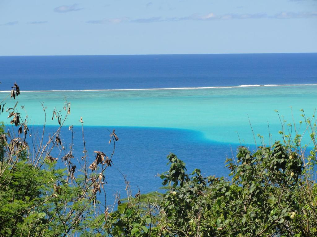 Surrounding environment