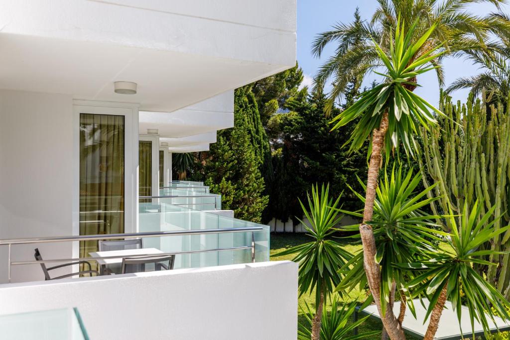 Hotel Illa d'Or & Club Apts 4* Sup — Hotel building in Puerto Pollensa, Balearic Islands