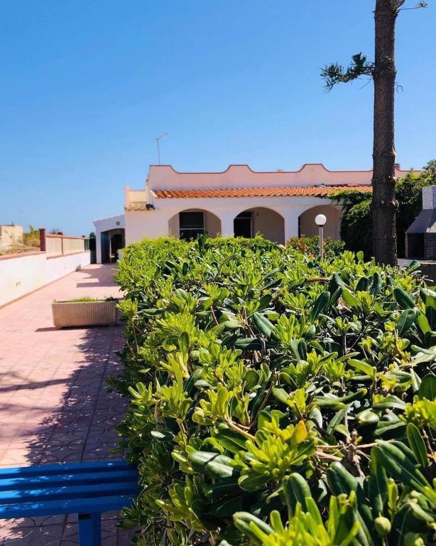 Blu Marzamemi Rooms - 5