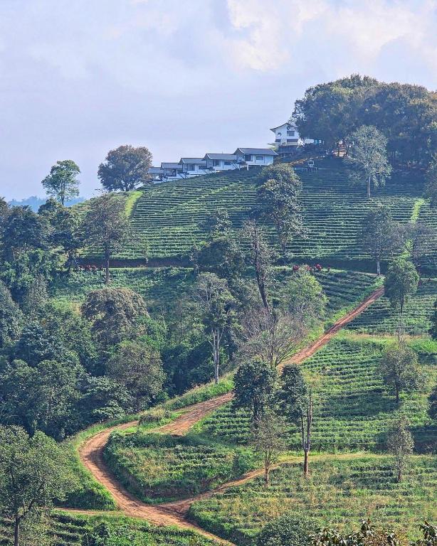 1. 와타 키리 바이..