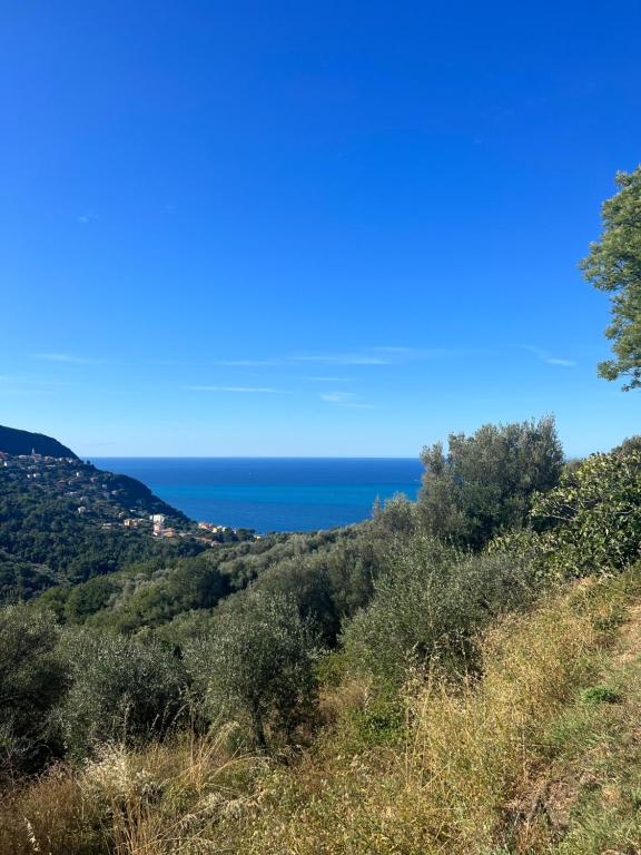 Olivetta House Holiday - 3