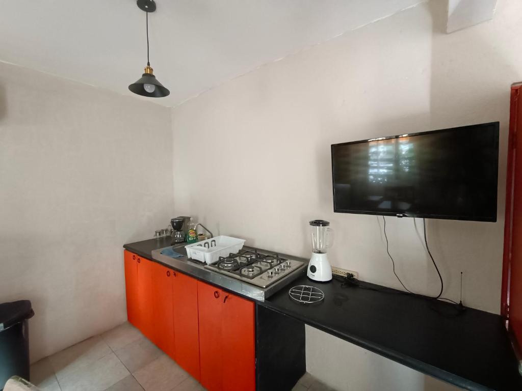 casa agave - 4