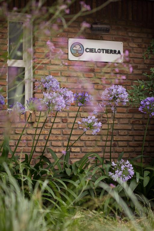 Cielo de Tierra - 5