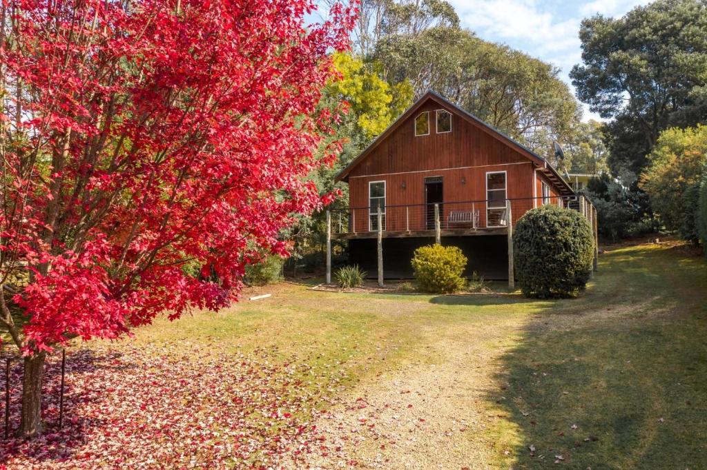 The Shack - Located base of Mt Buller, Merrijig
