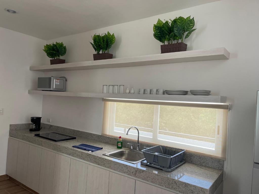 Departamento Bohen 13 - 2