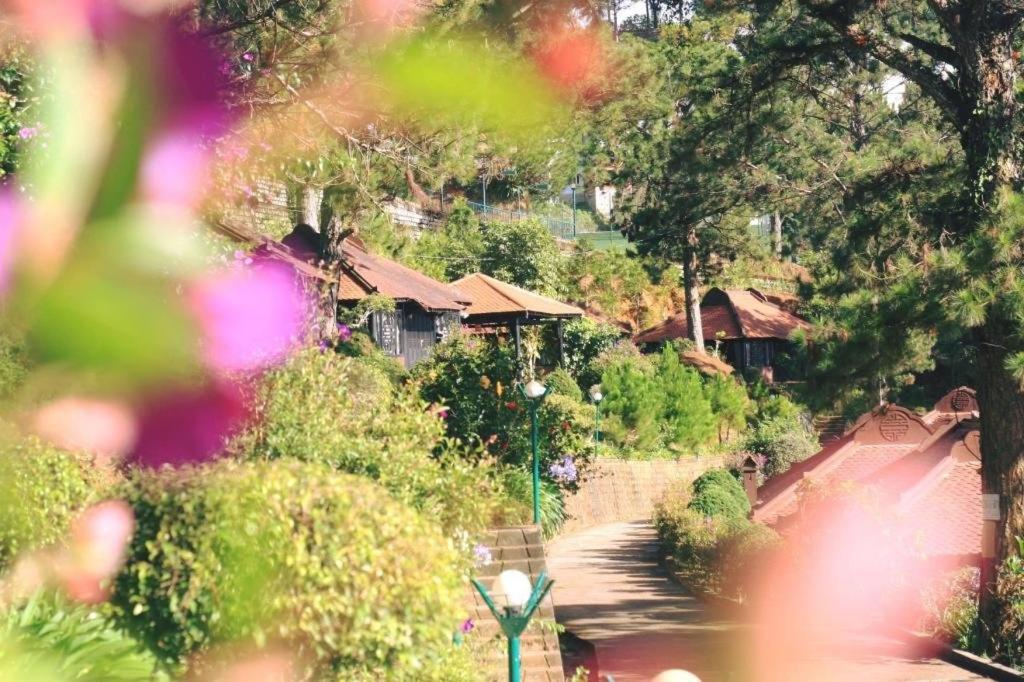 Osaka Village Dalat Resort