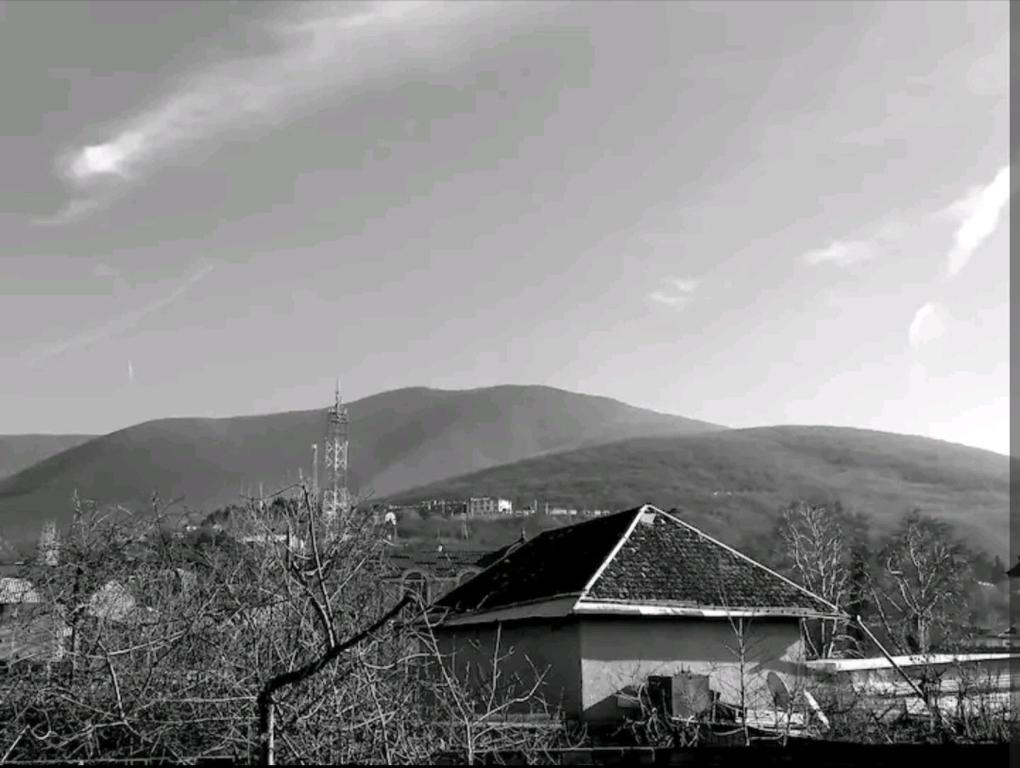 IYI TATILLER, Şəki