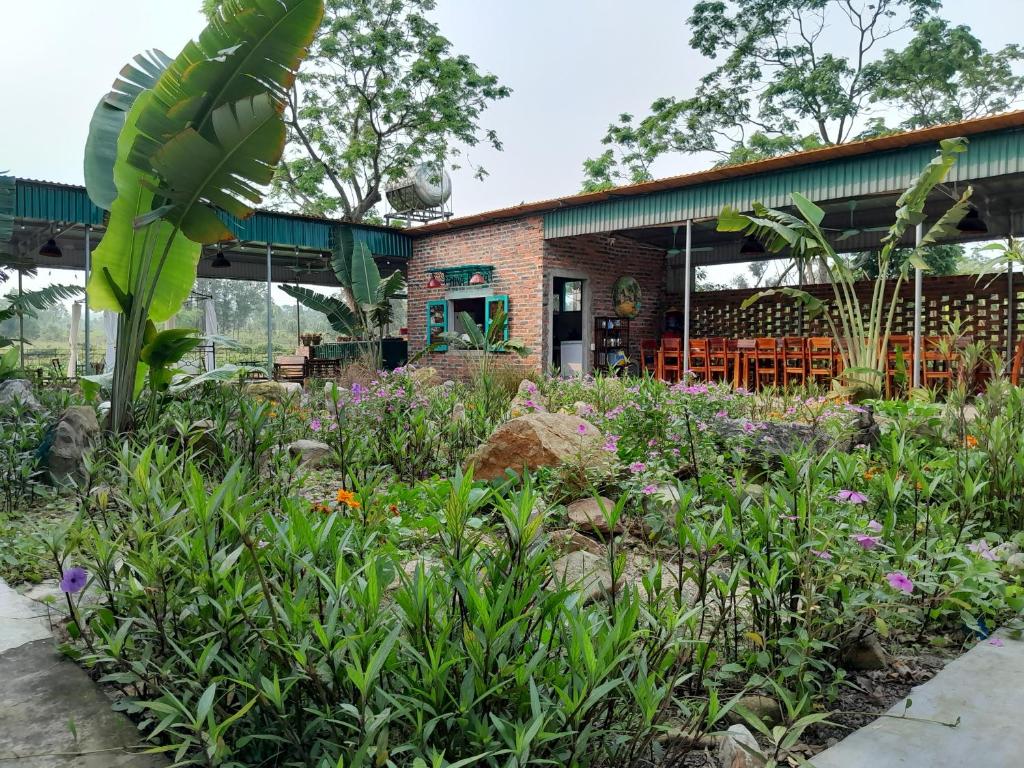 Ảnh 4