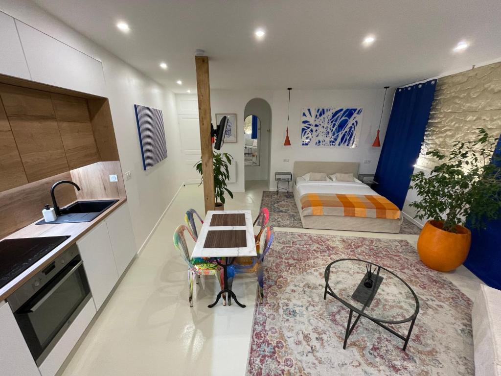 Studio 11 Bis, Vichy