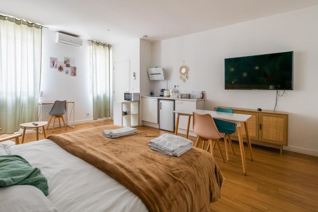 le Jungle: Grand studio rénové, Climatisé, proche de la Gare - 4