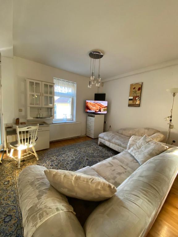 Vila Nada Apartment in Vrnjacka Banja - 5