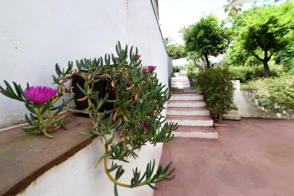 Casa Vacanze Borgata del Sorbo - 3