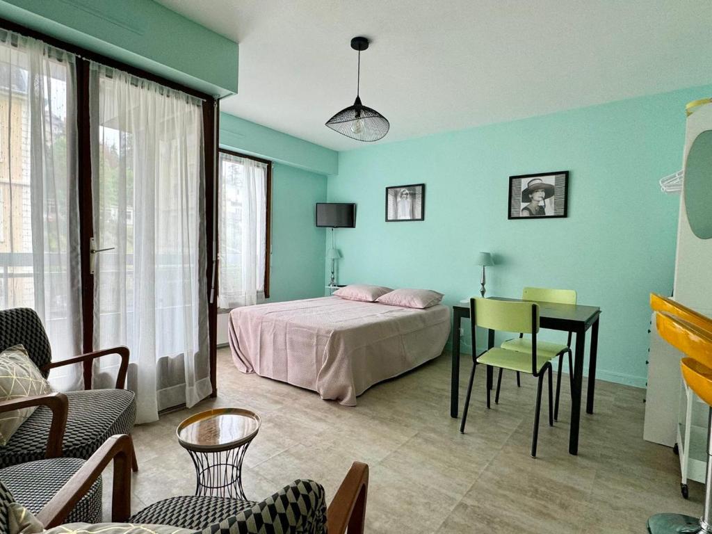 Studio lumineux et fonctionnel à Aix-les-Bains, animaux admis - FR-1-555-10 - 1
