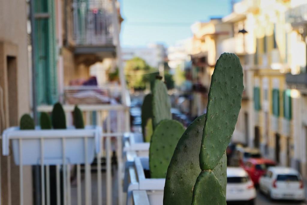 a Casa di Nino - nel cuore di Monopoli - 4