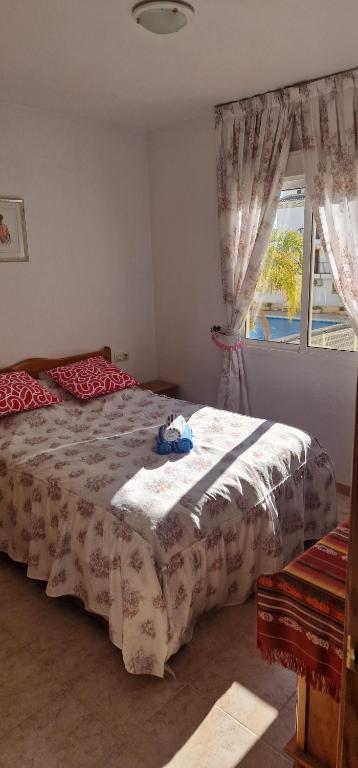 Apartament SUN Paradise Torrevieja Molino Blanco - 4