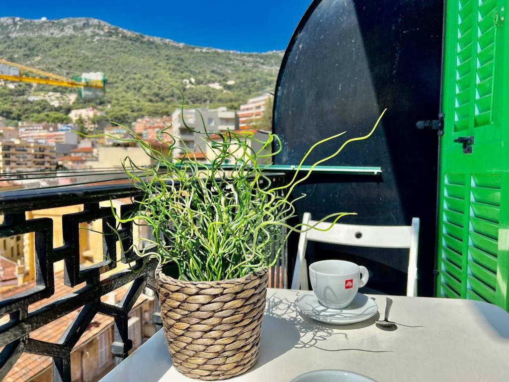 one bedroom appartment nice View near Monaco - 5