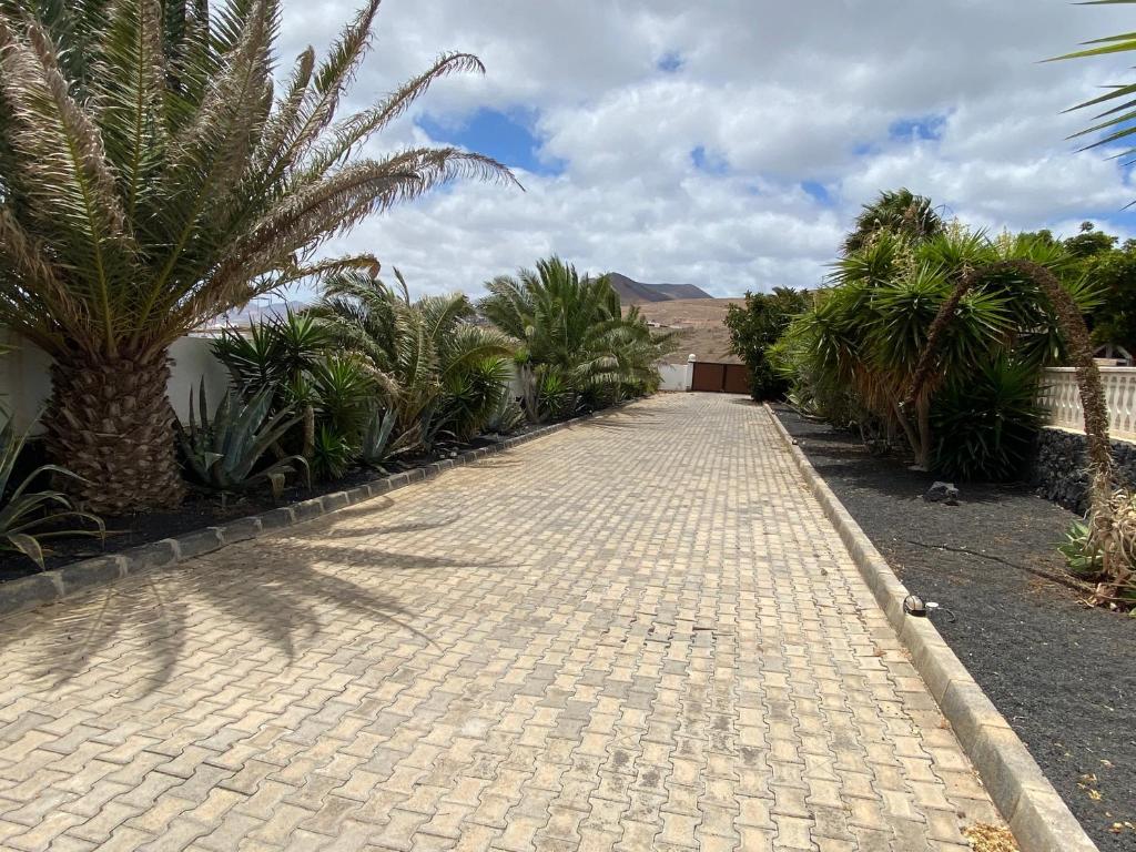 Villa Marcasita - 5
