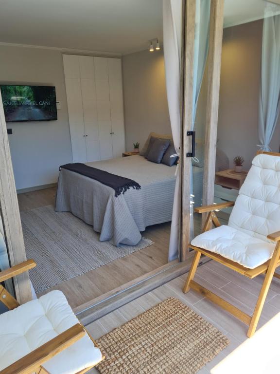 Hermoso departamento Pucón - 1