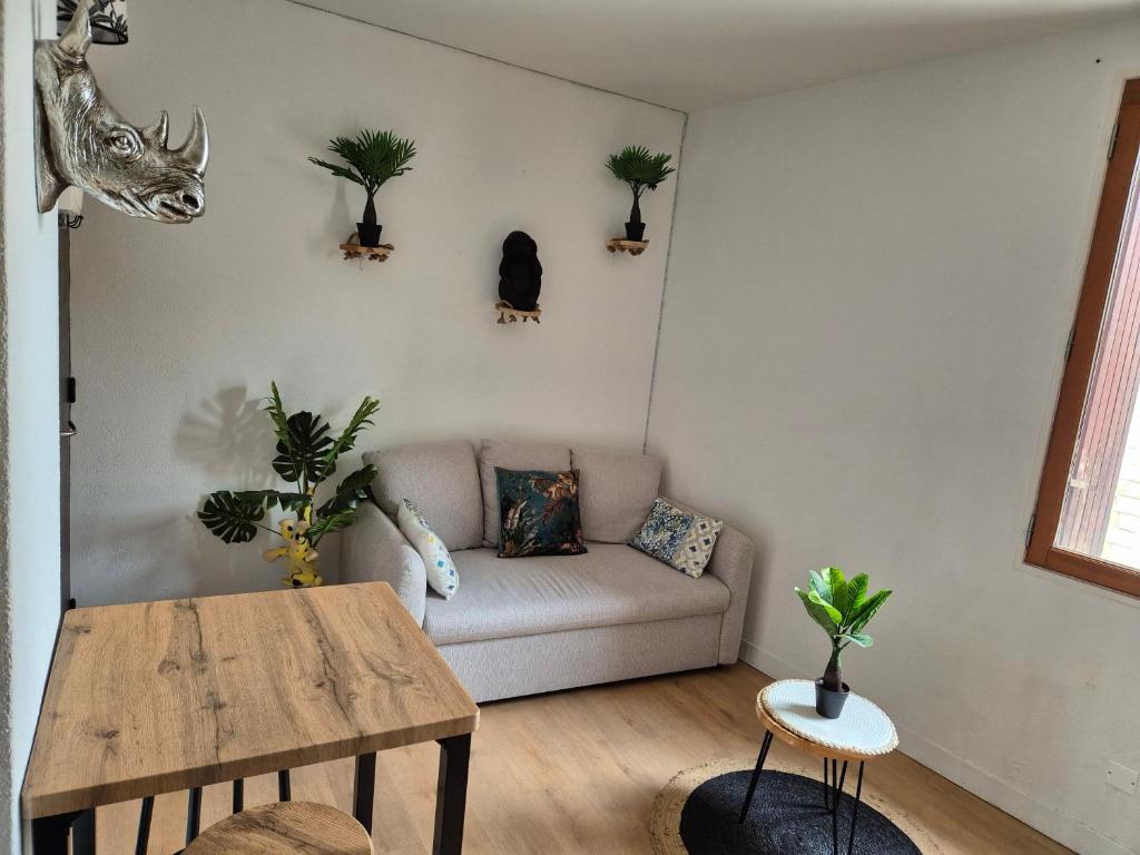 Le Jungle Appart, centre ville Narbonne - 2
