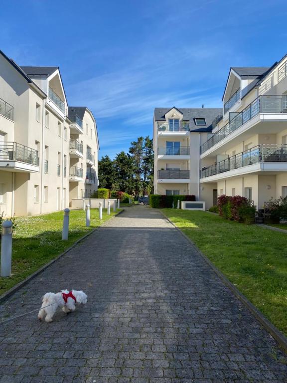 Pornichet 3 mns de la plage avec jardin classé 3 étoiles - 3