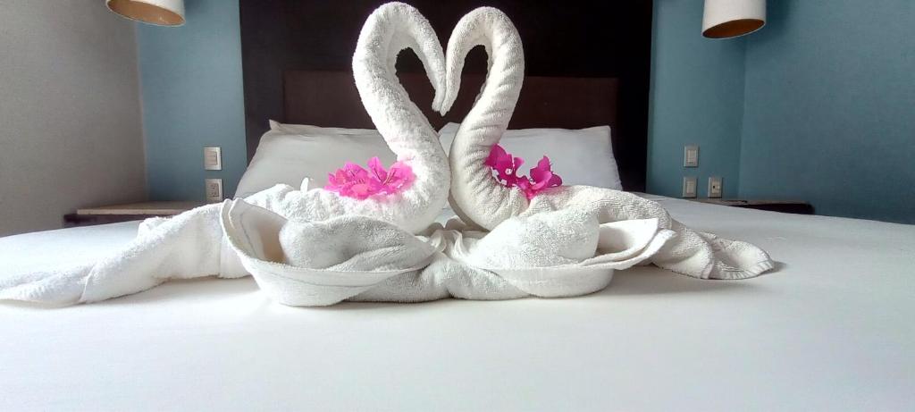 Hotel BLVD - 4