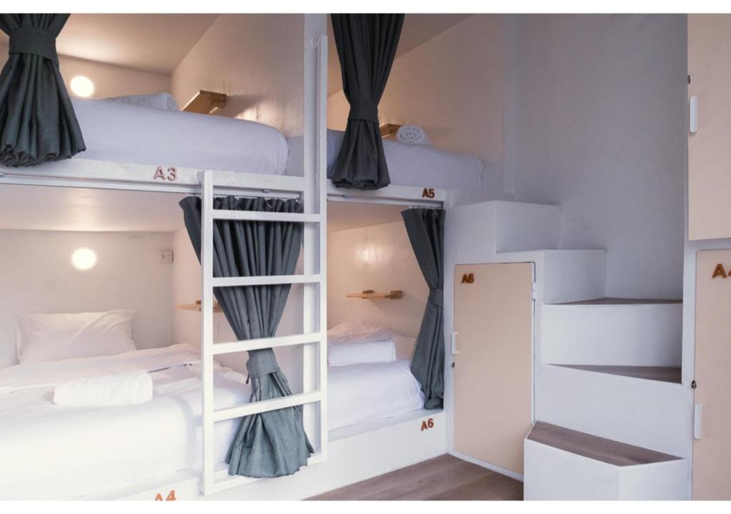 Ảnh 2