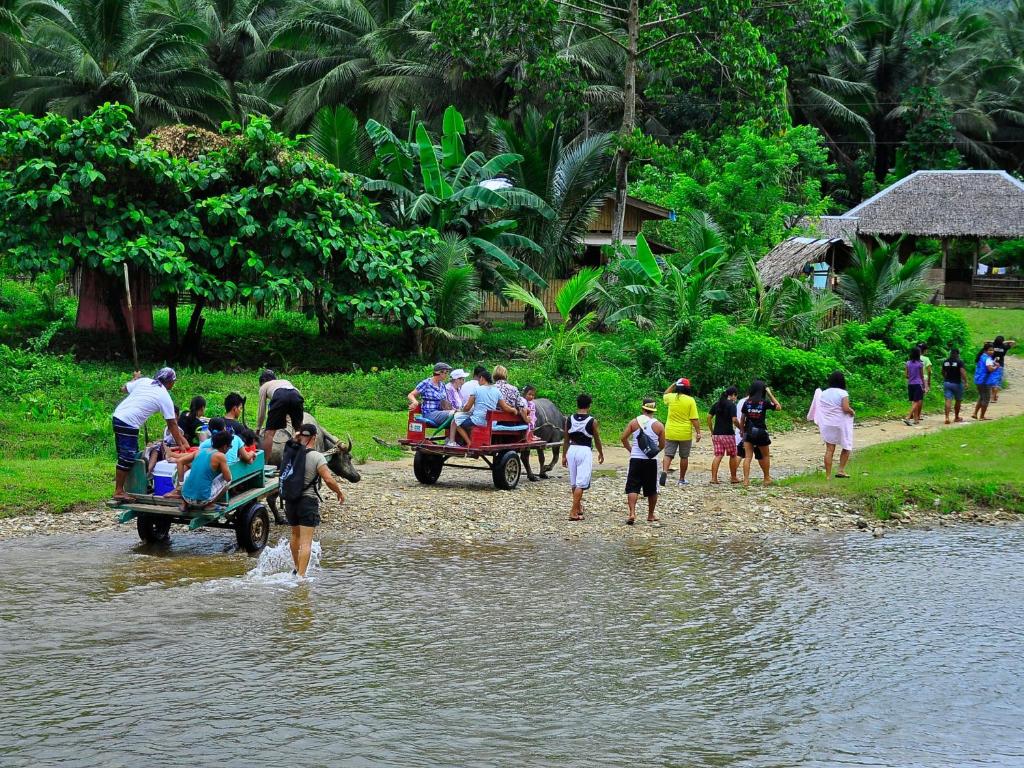 Sports and activities