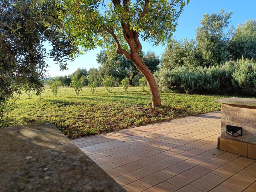 Agriturismo Fontelupo - 3