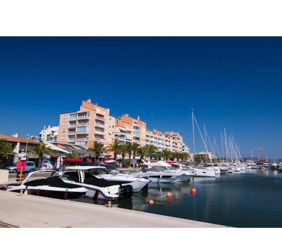 studio avec terrasse port de hyeres - 3