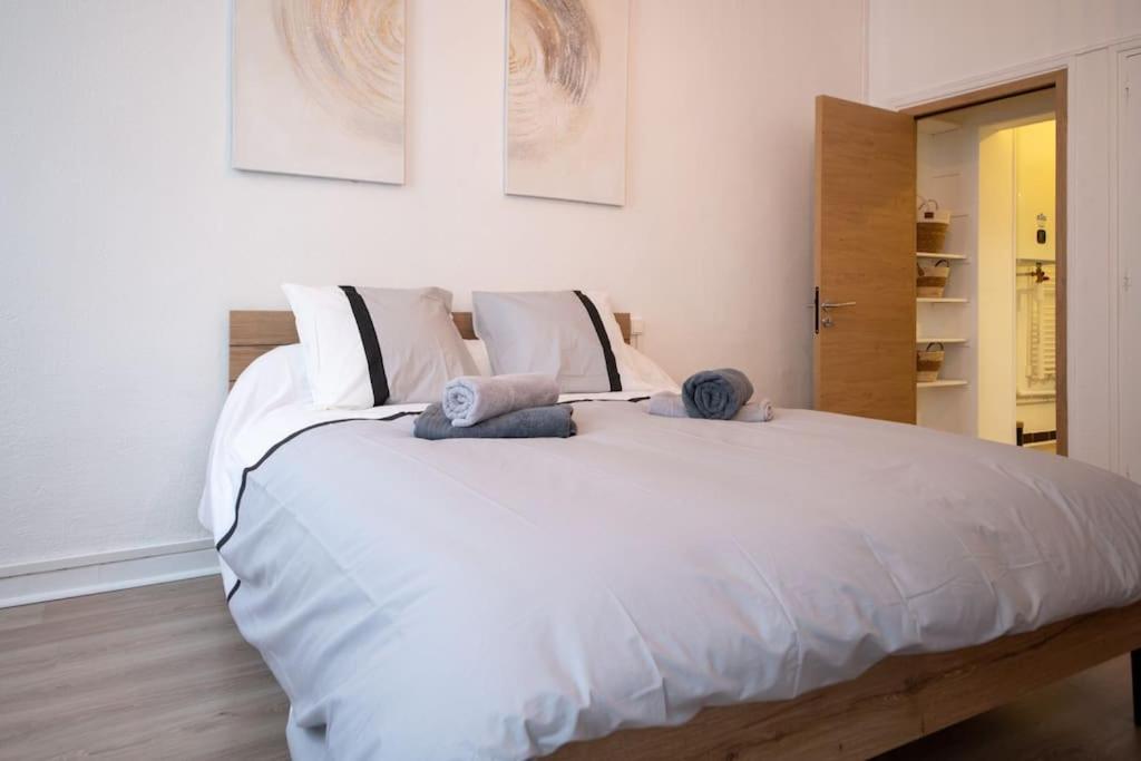 Un Cocon Au Cœur d'Avignon Logement - 3