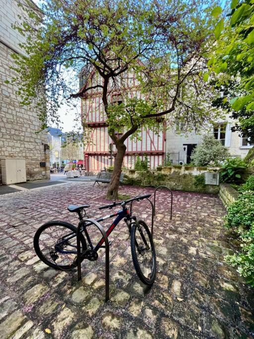 Appartement cosy hypercentre Place St Pierre - 4