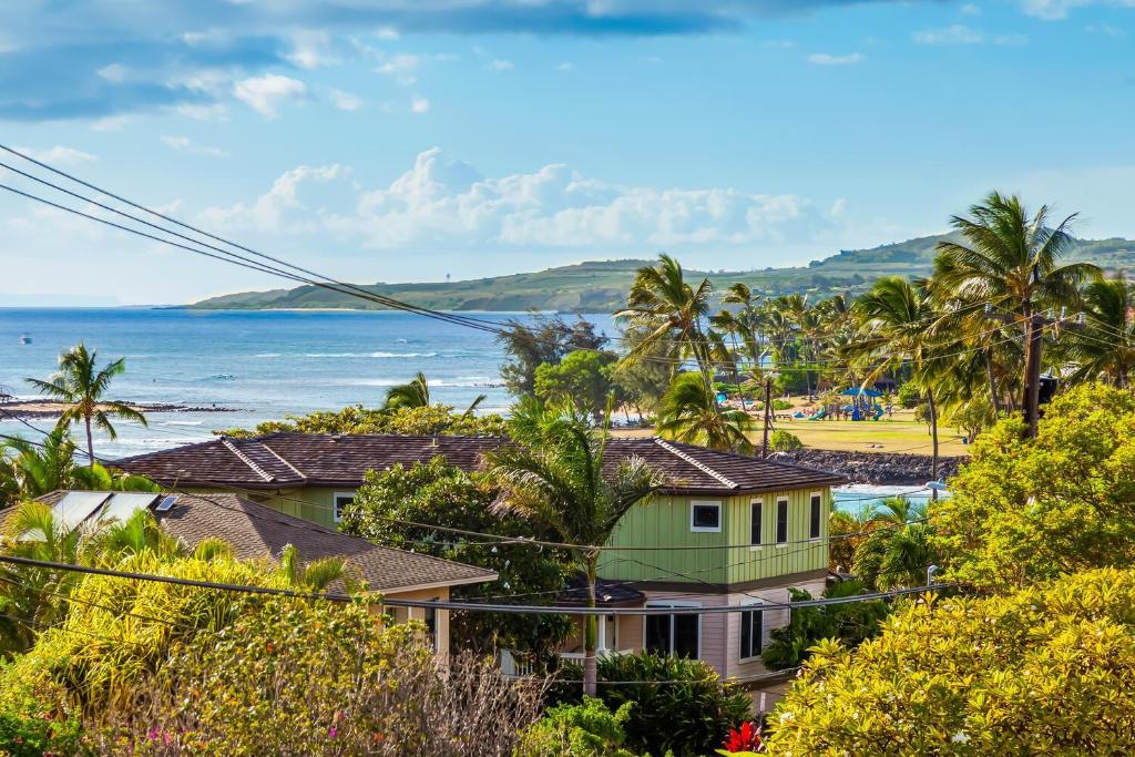 Malia Makai - E - Egret, Koloa
