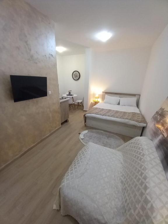 CASA APARTMENTS, one-bedroom apartment - 2